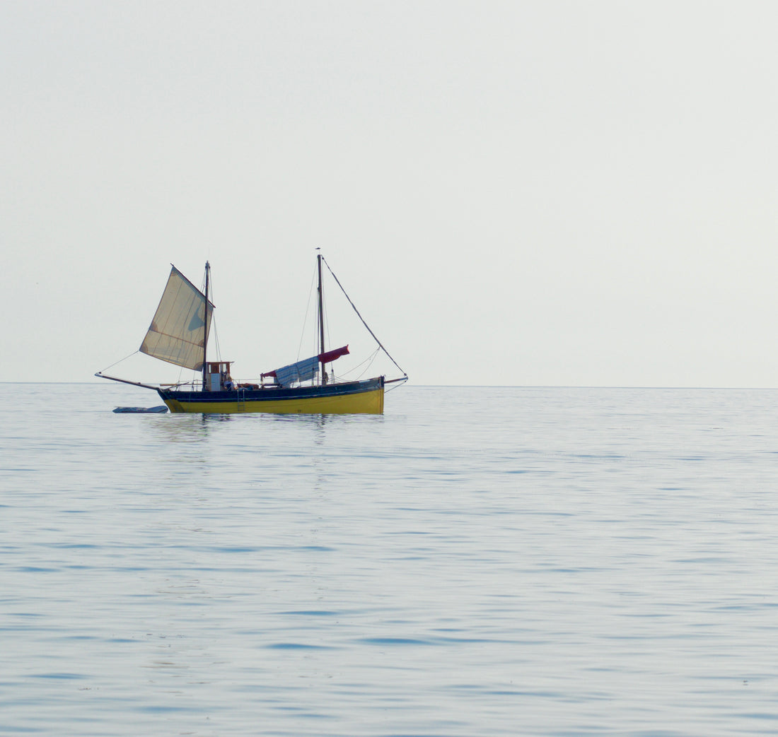 Looe Lugger 'Erin'