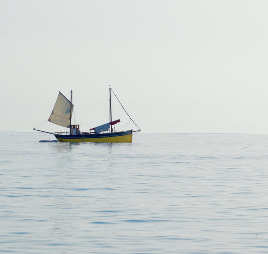 Looe Lugger 'Erin'
