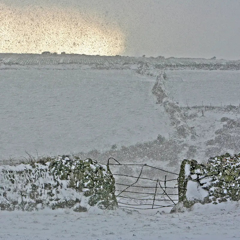 Cornish Christmas card Return of the Light