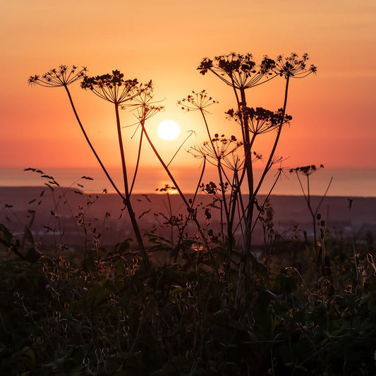 Cornish Greeting Card image, sun setting into the sea