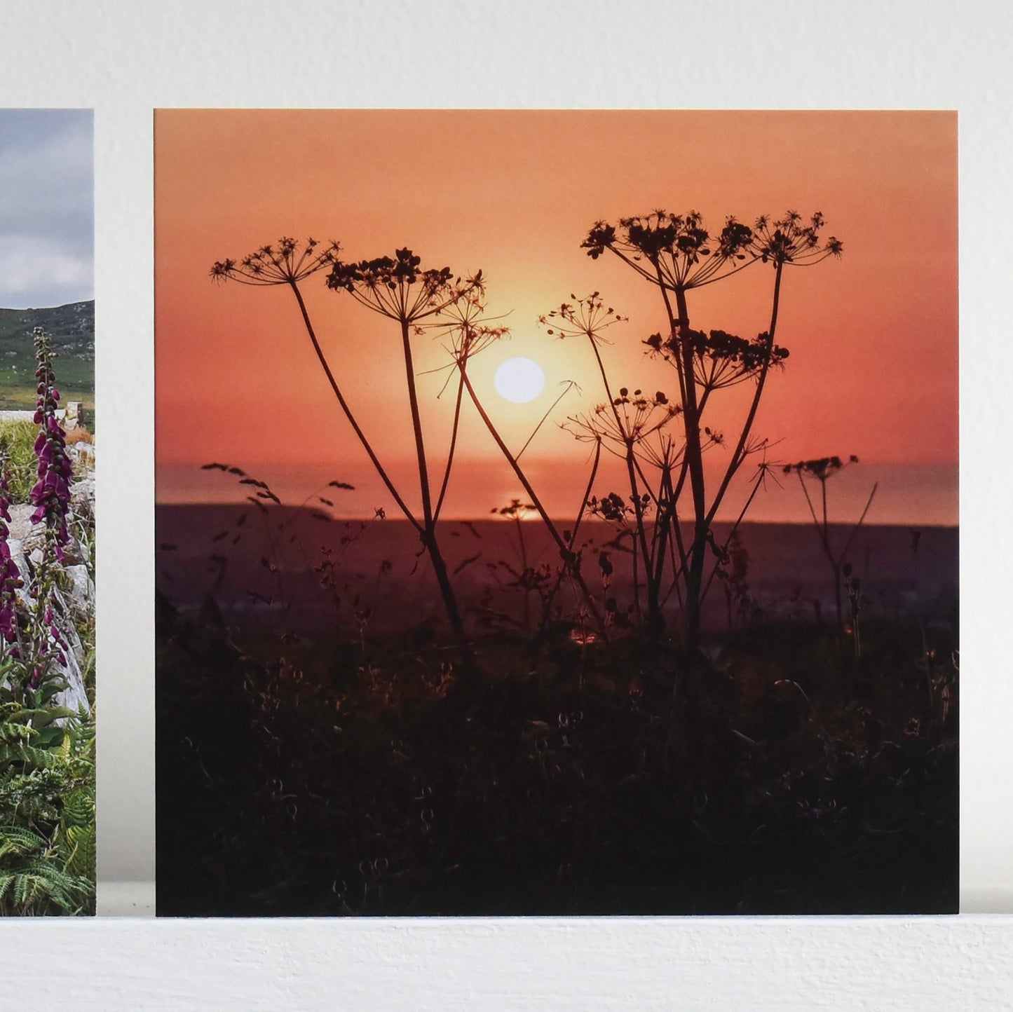 Cornish greetings card with a view through some seedheads in silhouette to a sunset over sea