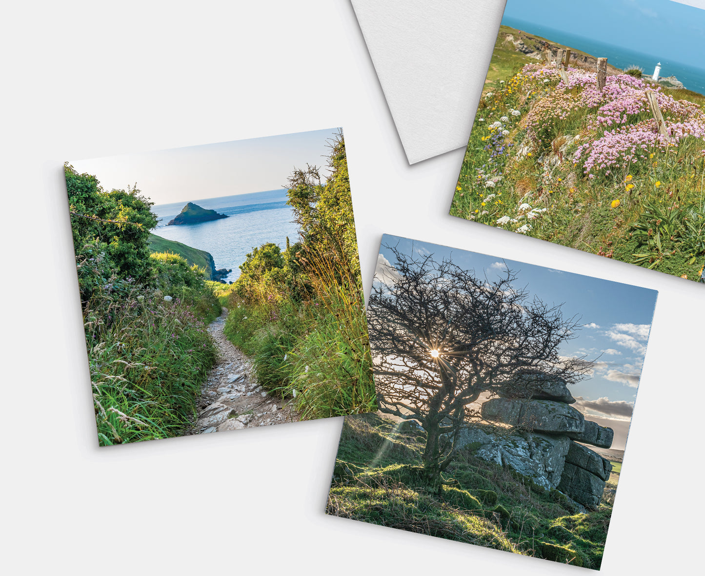 A selection of our greetings cards, depicting Godrevy, Cornish Coast Path, Bodmin Moor