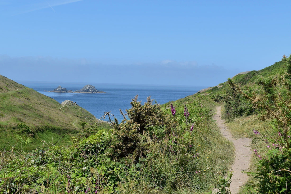 Image showing a typical Cornish scene in summer specifically a view along the footpath down Cot Valley towards, The Brisons visible in the sea beyond