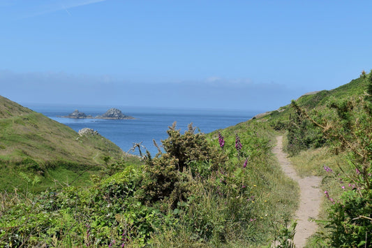 Image showing a typical Cornish scene in summer specifically a view along the footpath down Cot Valley towards, The Brisons visible in the sea beyond