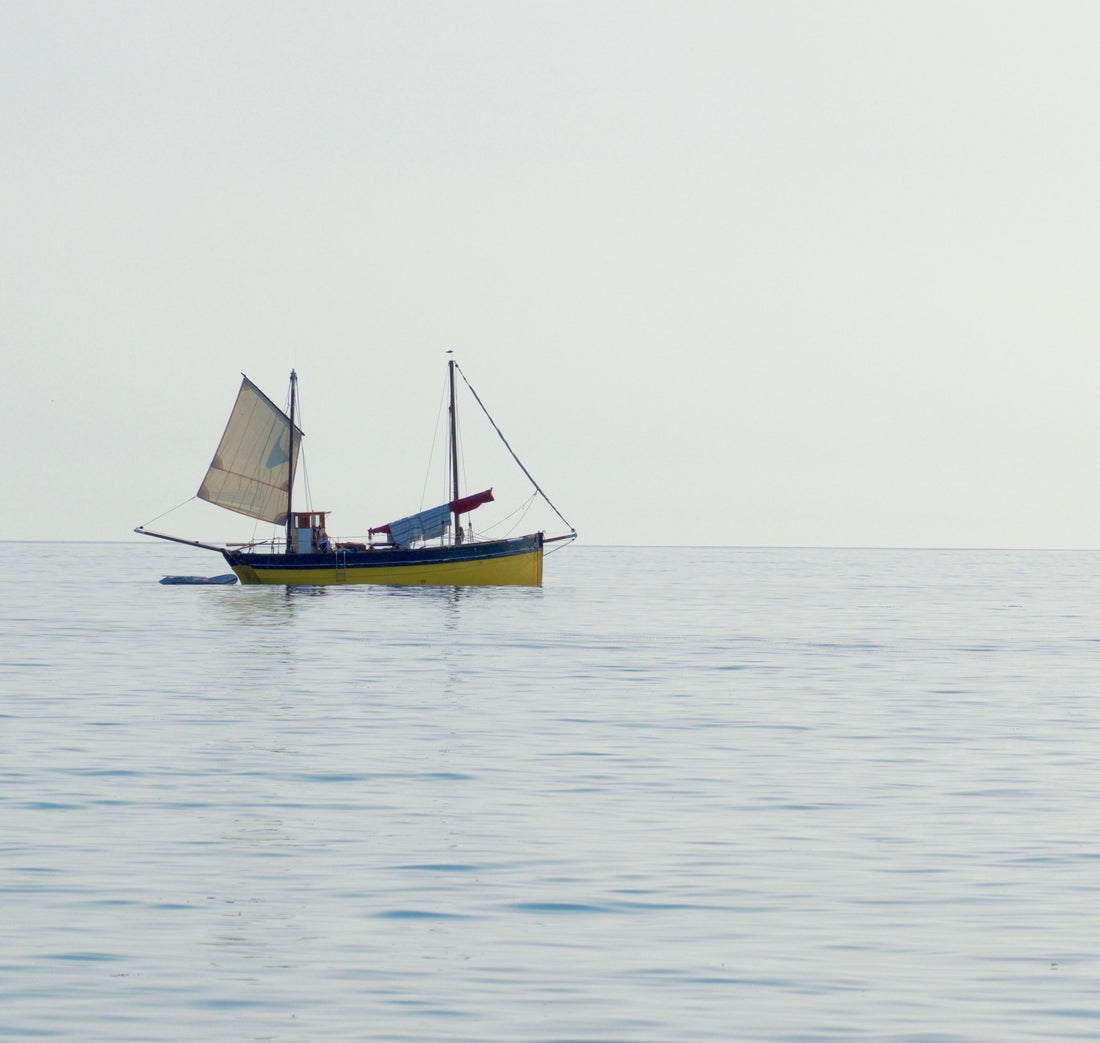 Looe Lugger 'Erin'