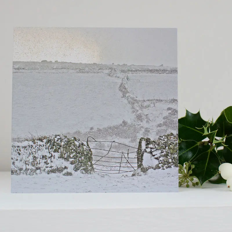 Cornish Christmas card Return of the Light on shelf