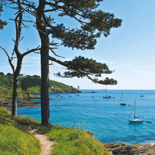 Cornish greeting card image of St Anthony Lighthouse