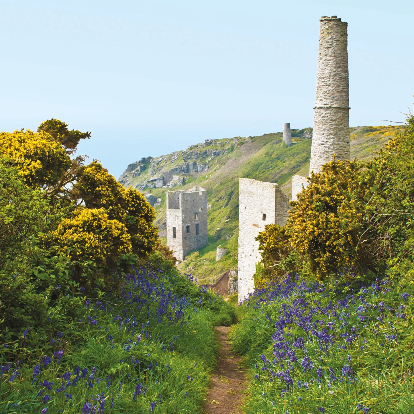 Cornish greetings card image of bluebells and engine houses at Trewavas