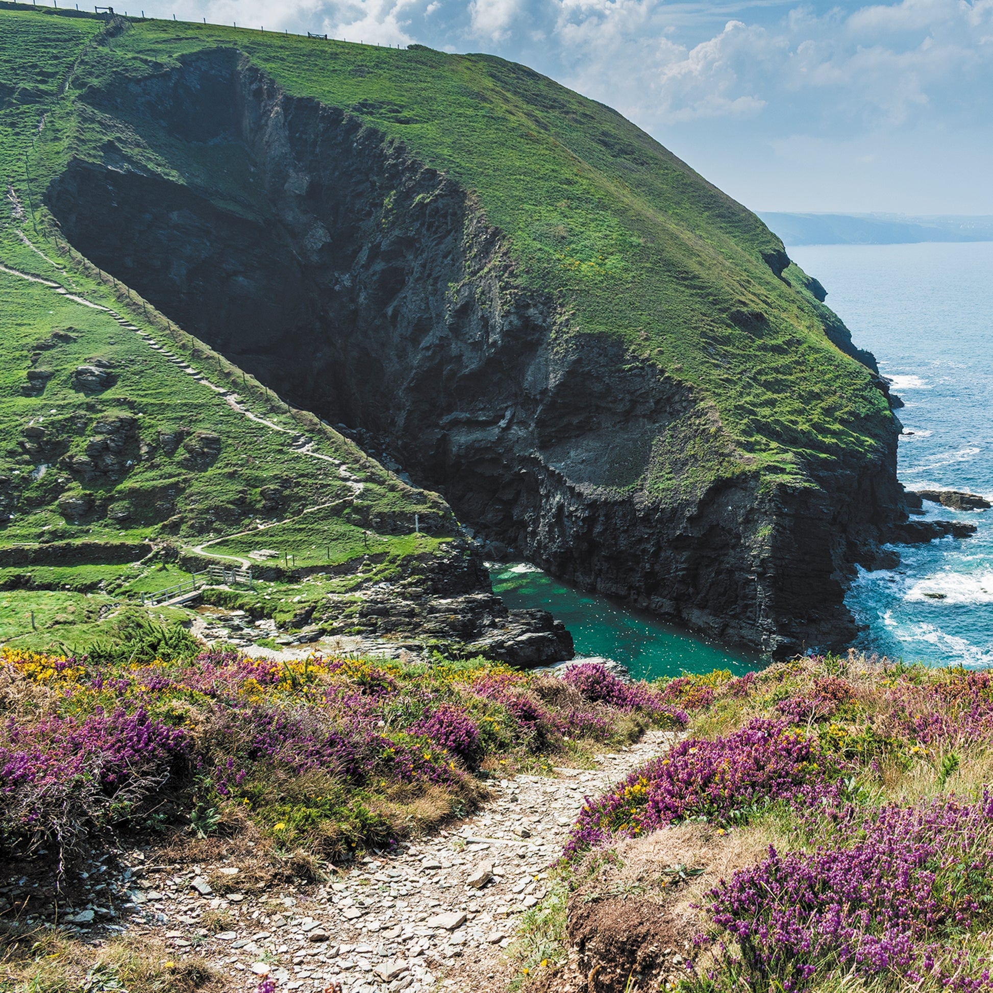 An Evocative Cornwall greetings card showing the coast path disappearing between purple heather and golden gorse sloping steeply towards a tiny cove of emerald water and a cavernous cave.
