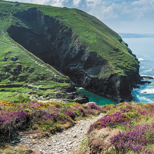 An Evocative Cornwall greetings card showing the coast path disappearing between purple heather and golden gorse sloping steeply towards a tiny cove of emerald water and a cavernous cave.