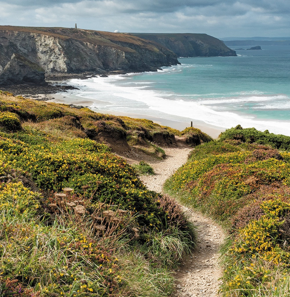 Evocative Cornwall greetings card with a view of the coast path meandering among a carpet of wildflowers between Chapel Porth and Porthtowan