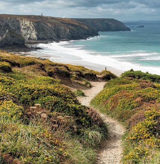 Evocative Cornwall greetings card with a view of the coast path meandering among a carpet of wildflowers between Chapel Porth and Porthtowan