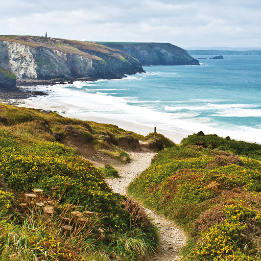 Cornish greetings card image of the coast path between Chapel Porth and Porthtowan