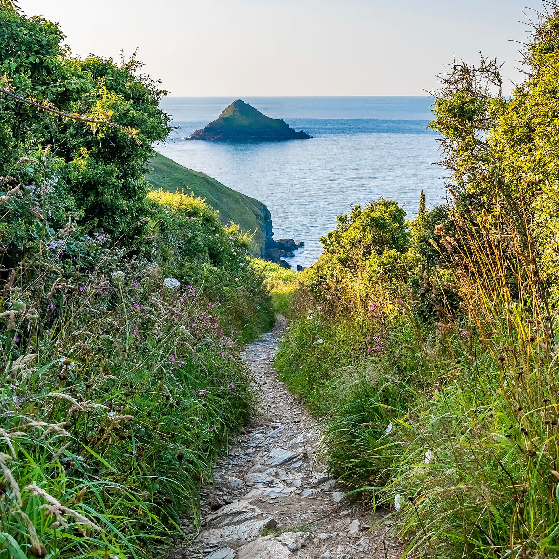 Cornish greetings card image of coastal path at sunset, near The Rumps