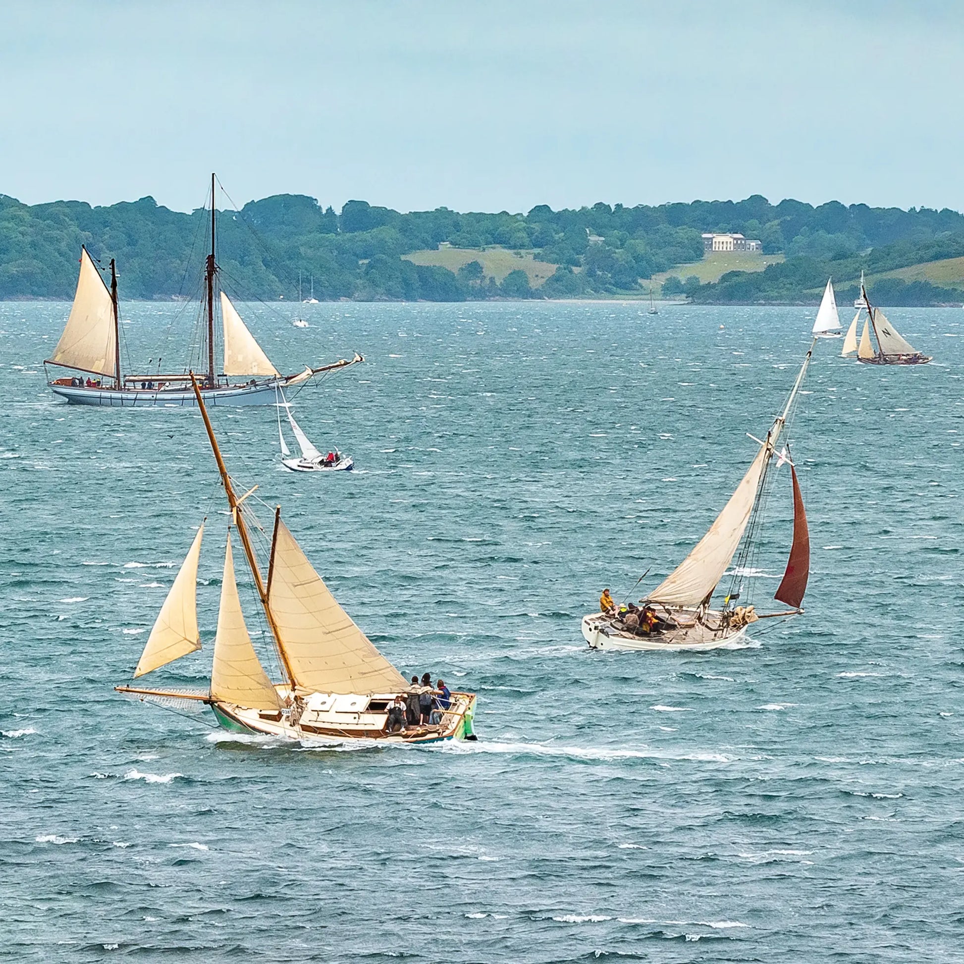 Cornish Greeting Card showing sailing at the Falmouth Classics regatta, in front of Trelissick Gardens