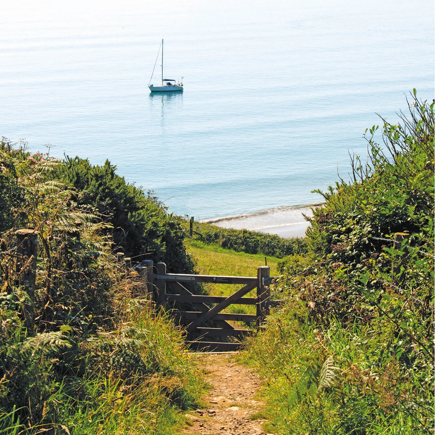 Cornish greetings card image of footpath down to Hemmick Beach on The Roseland