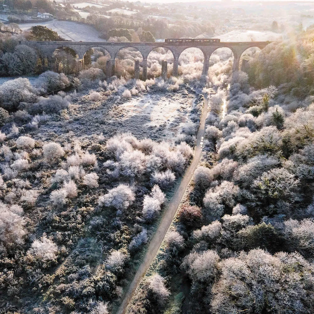 Cornish Christmas card taking flying over the Carnon Viaduct as a train crosses it, on a crisp, frosty morning