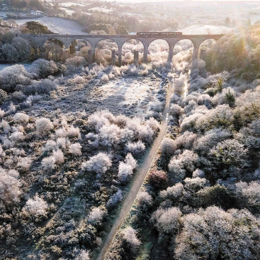 Cornish Christmas card taking flying over the Carnon Viaduct as a train crosses it, on a crisp, frosty morning