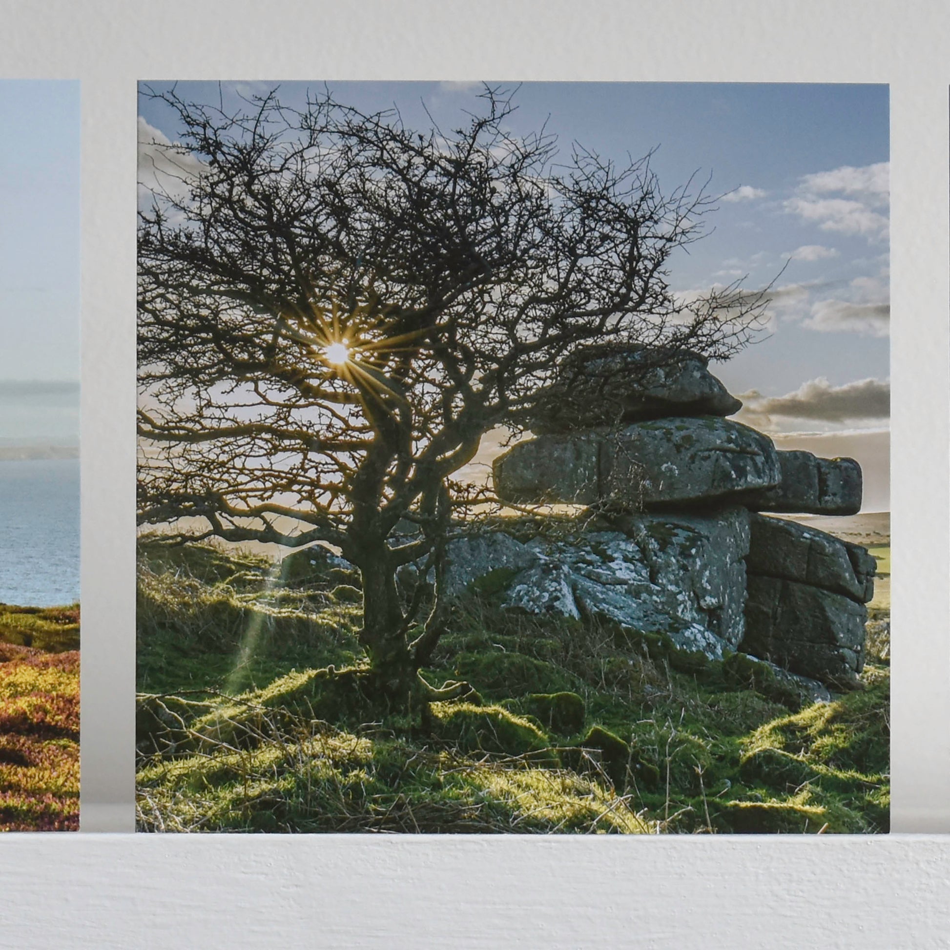 Cornish greetings card with a view of the sunrise through the bare branches of a hawthorn tree beside a pile of granite rocks on Bodmin Moor