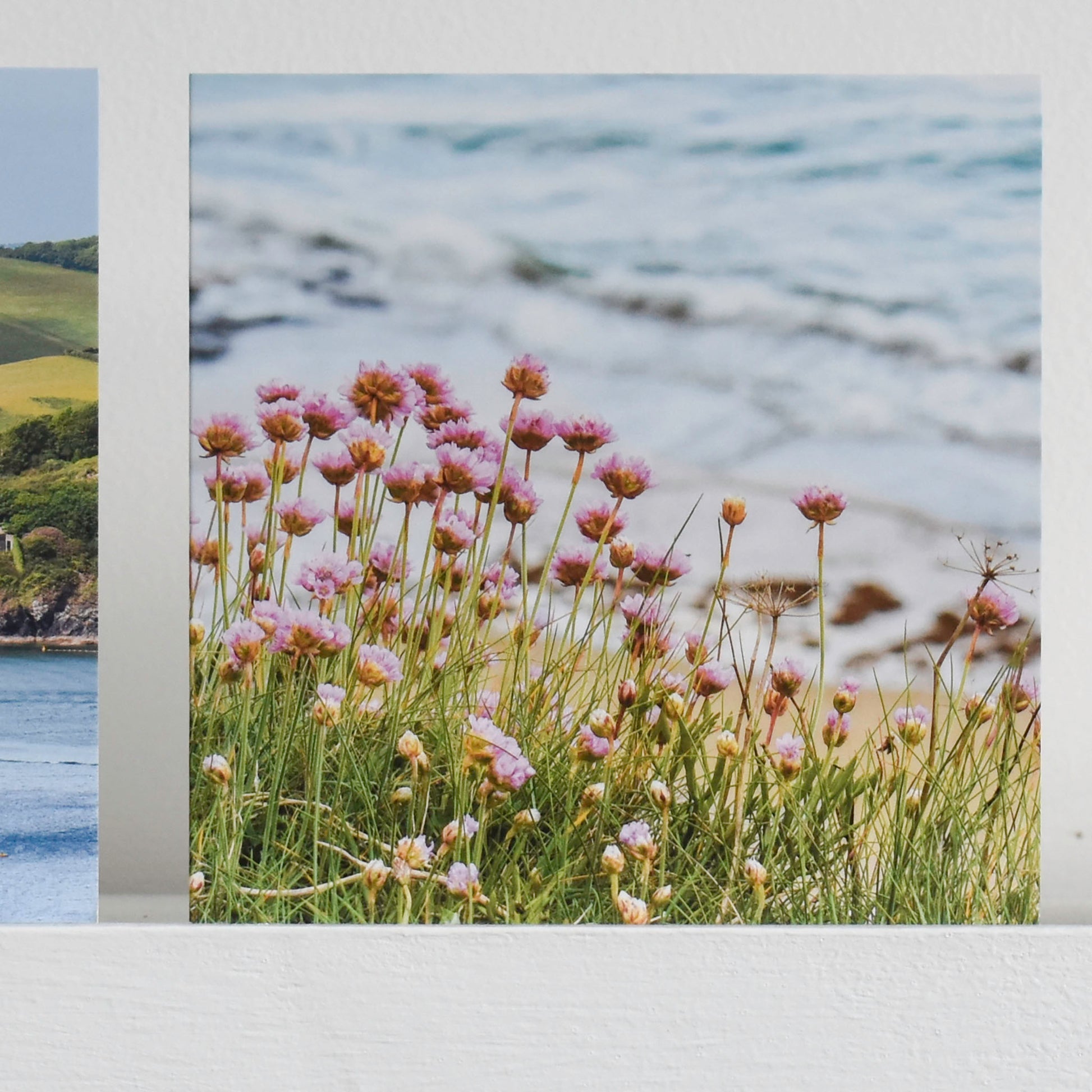 Cornish greetings card showing coastal flowers with sand and sea behind, on a shelf