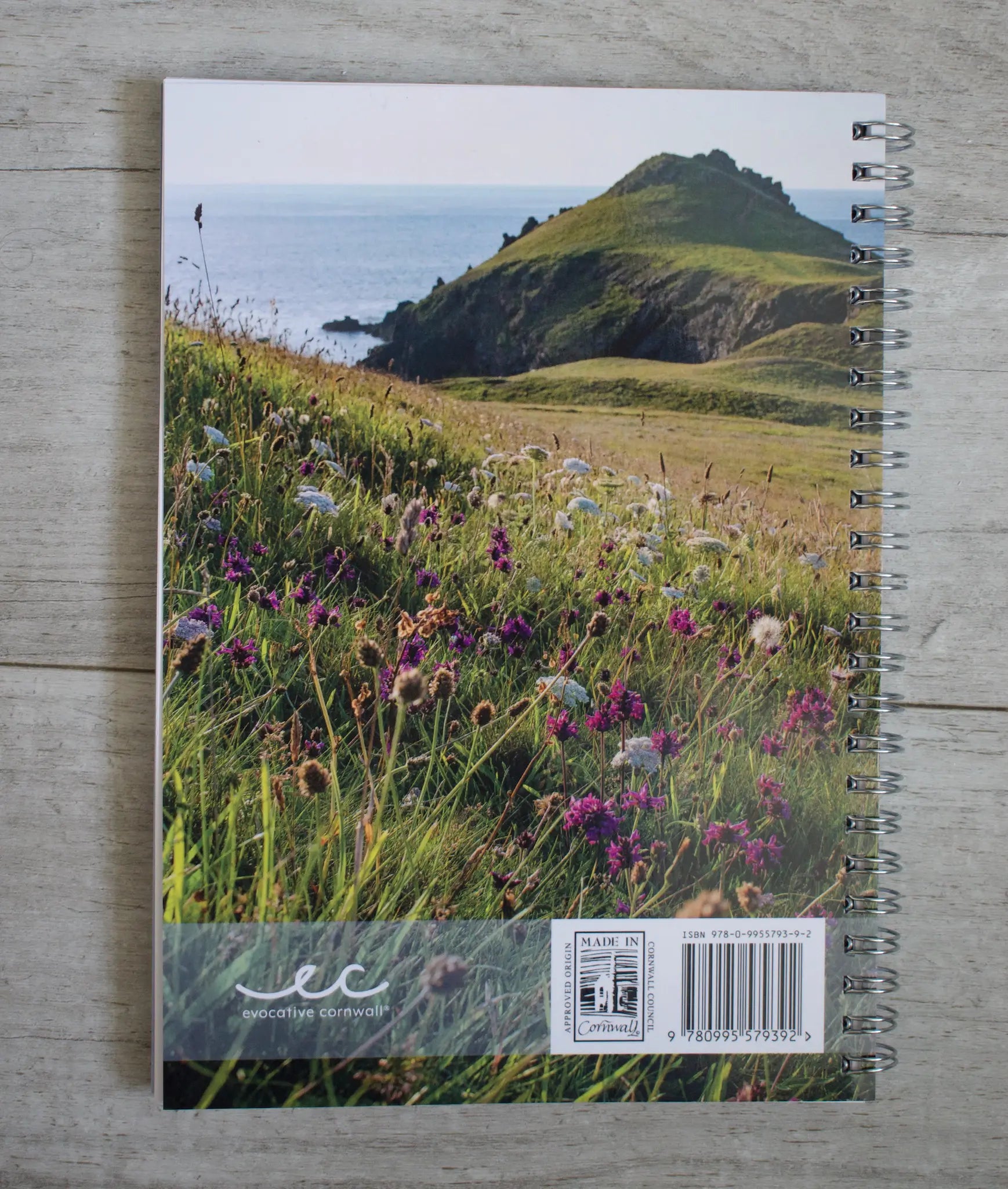 Cornish diary 2024 back cover