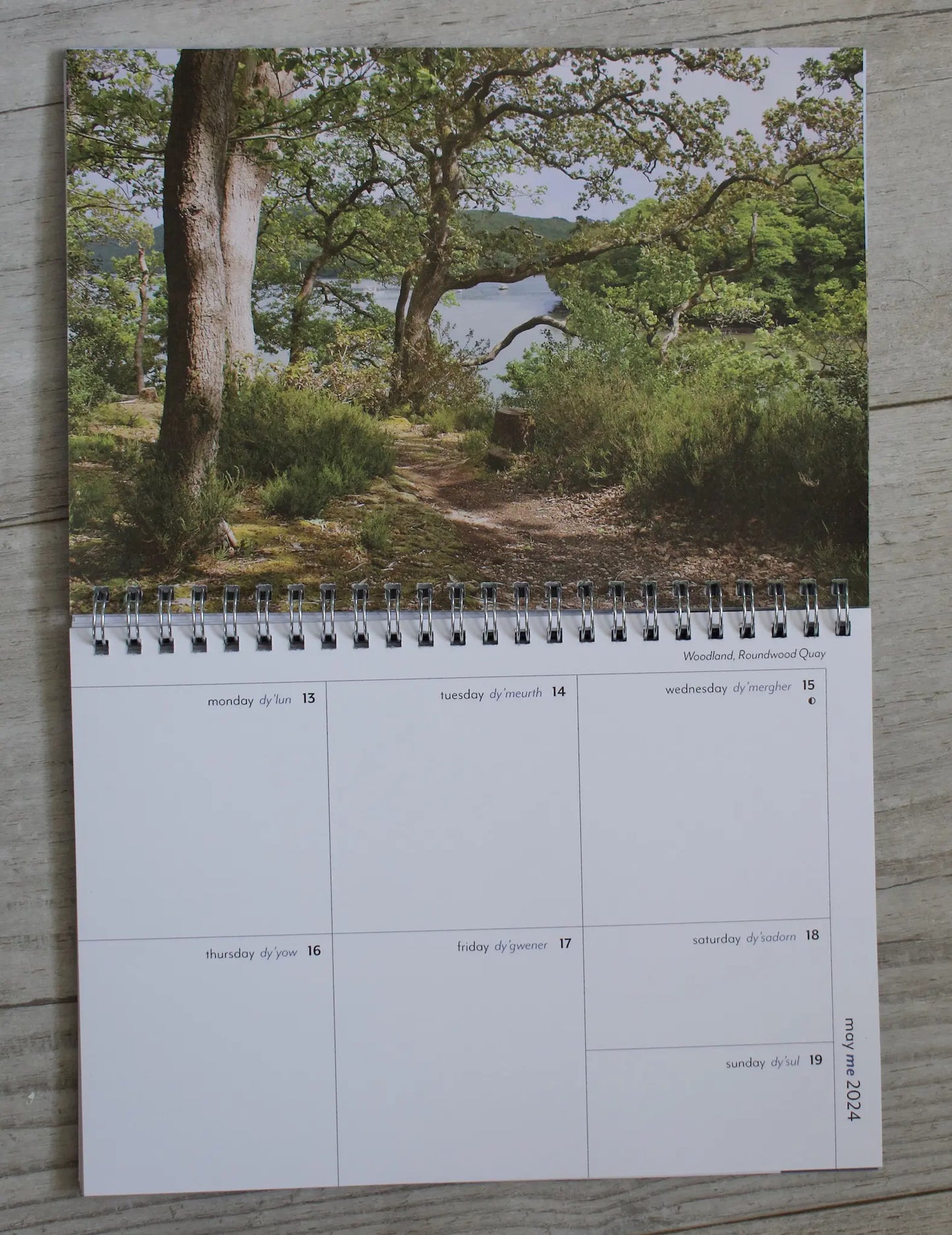 diary page, woodland view at Roundwood Quay
