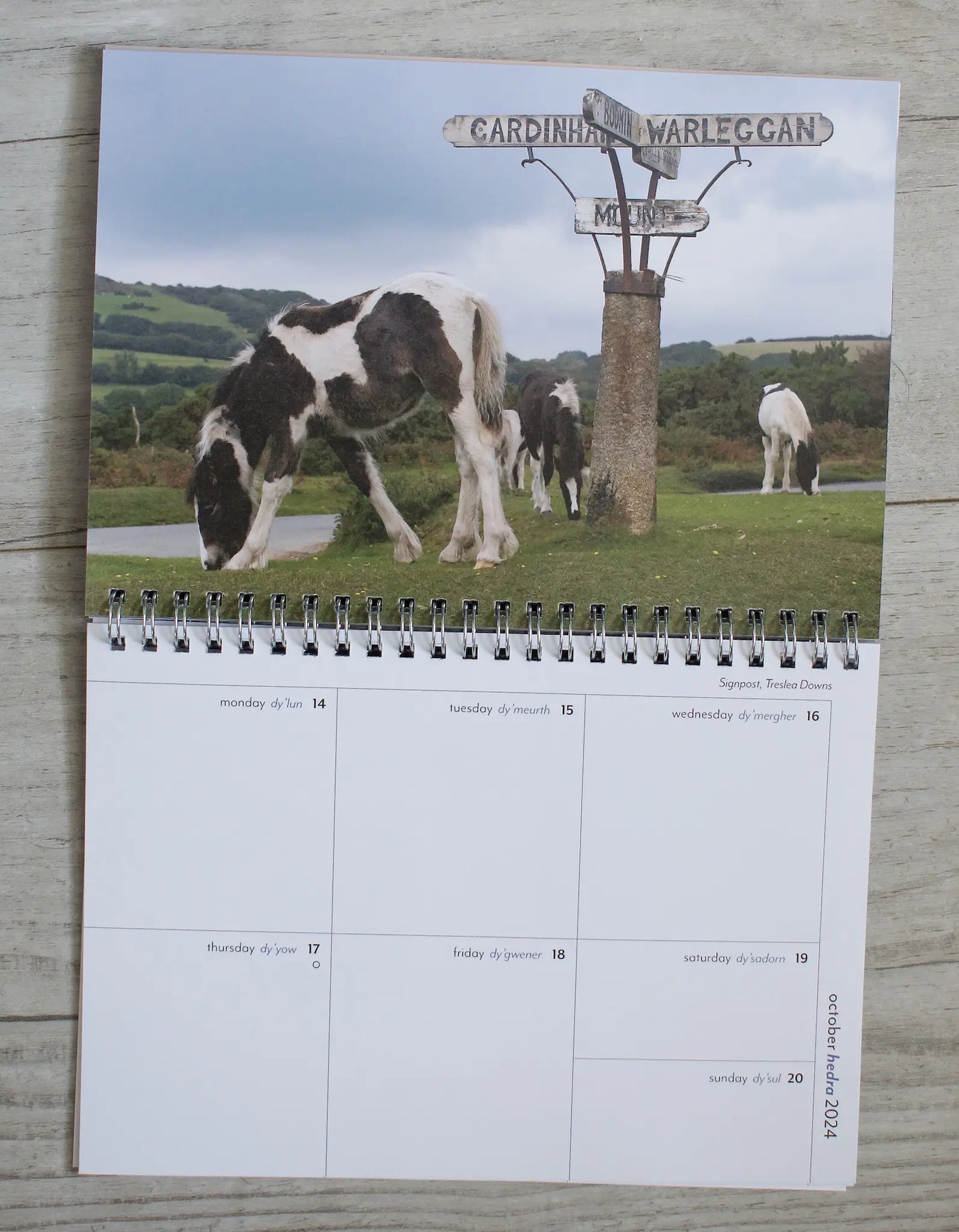 diary page, moorland view of ponies and signpost