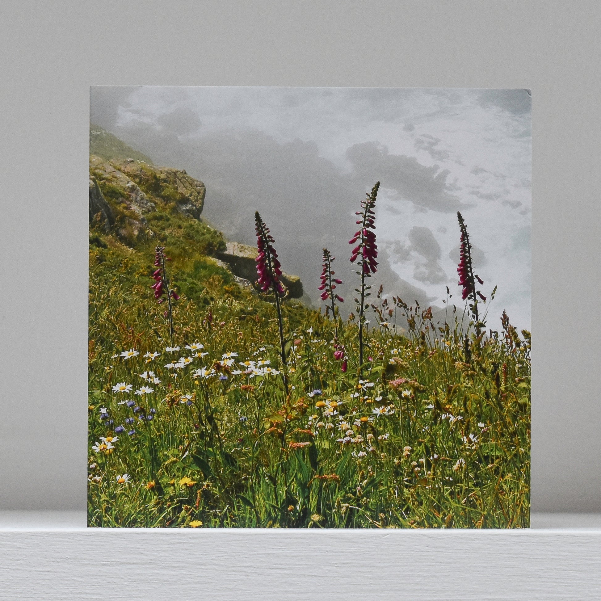Greetings card on shelf showing image of foxgloves, ox eye daisies and sheep's bit scabious on a cliff with sea and rocks visible through the salt spray below