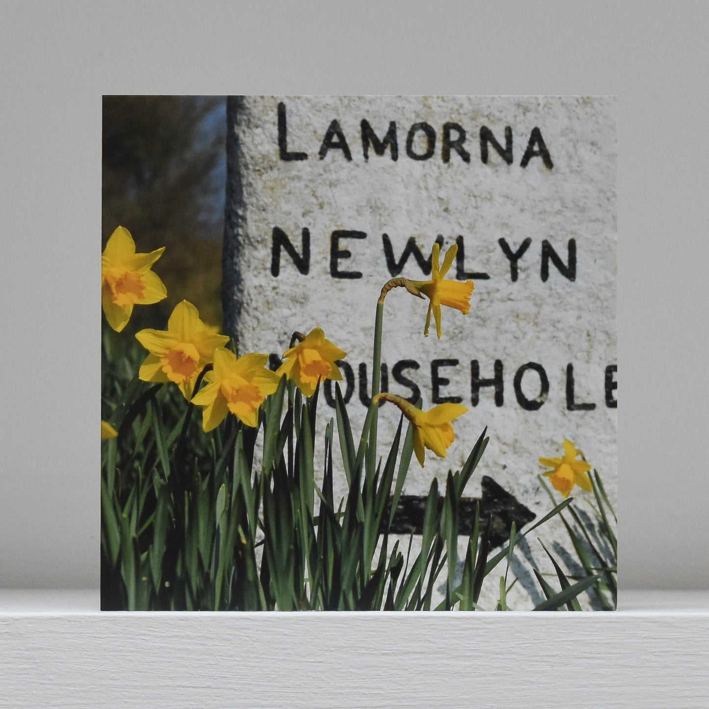Greetings card on shelf showing image of some daffodils in front of the milestone to Lamorna, Newlyn and Mousehole
