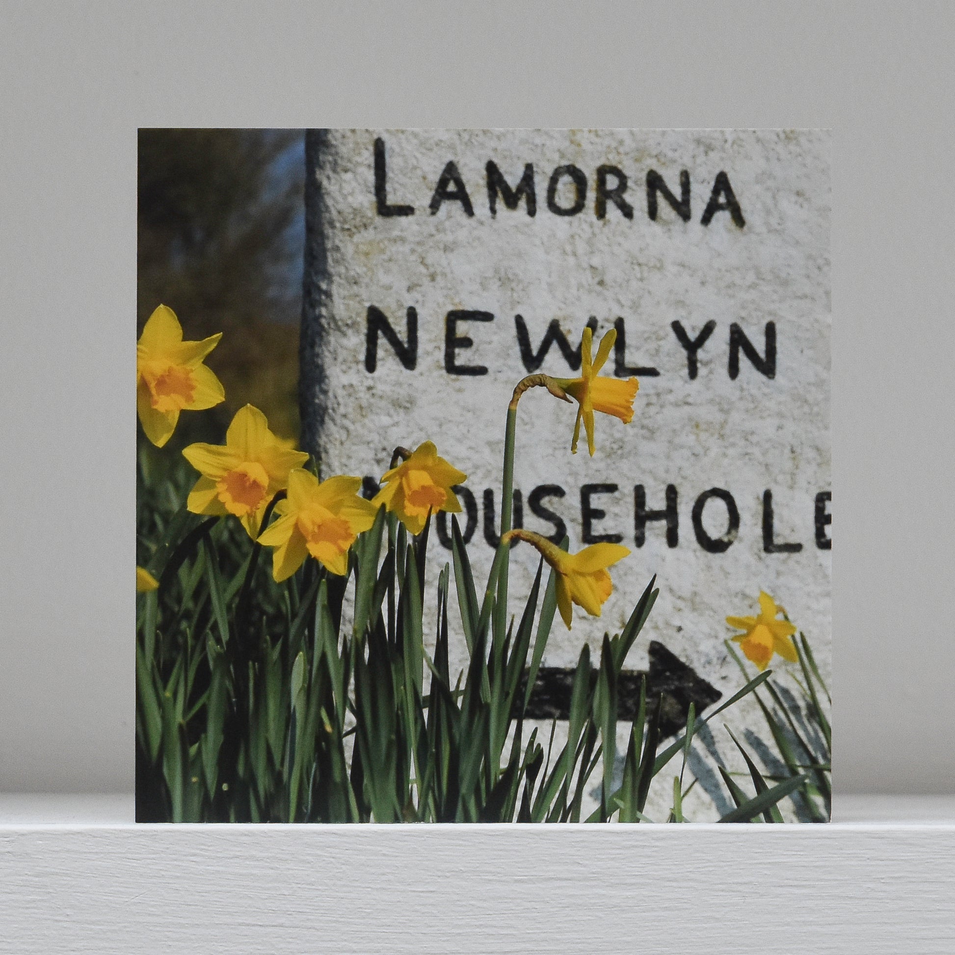 Greetings card on shelf showing image of some daffodils in front of the milestone to Lamorna, Newlyn and Mousehole