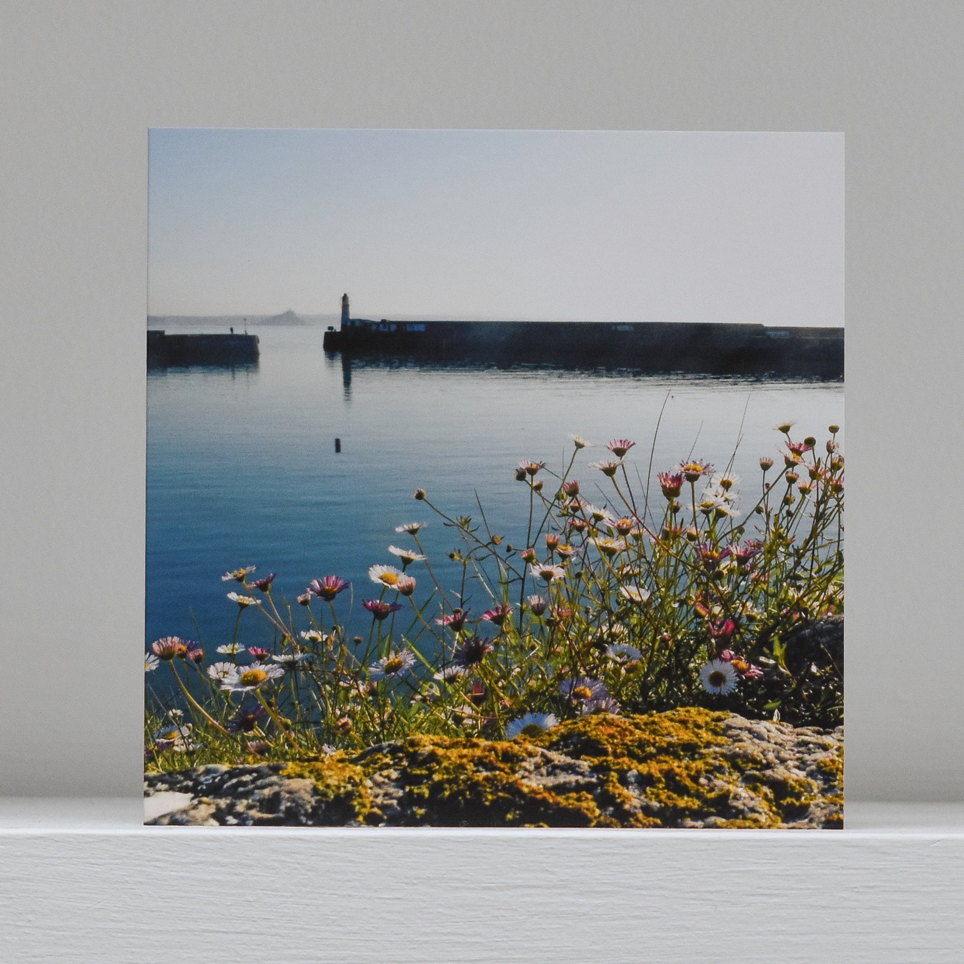 Greetings card on shelf showing image of daisies growing in the stone of the harbour wall at Newlyn, and looking out through the gap to St Michael's Mount in the distance