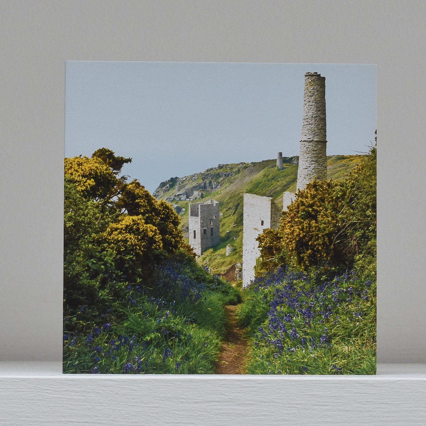 Greetings card on shelf showing image of Wheal Trewavas engine houses looking along a path edged with bluebells and gorse in flower and out to sea