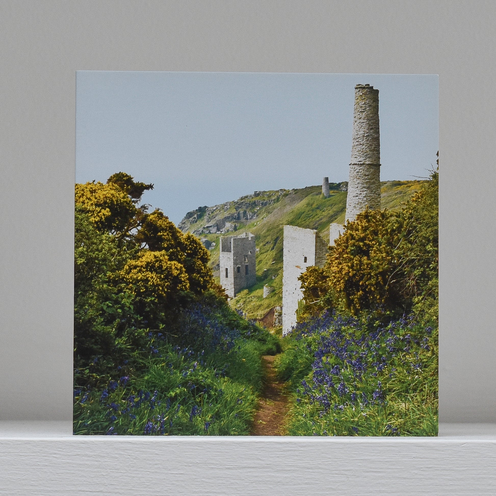 Greetings card on shelf showing image of Wheal Trewavas engine houses looking along a path edged with bluebells and gorse in flower and out to sea