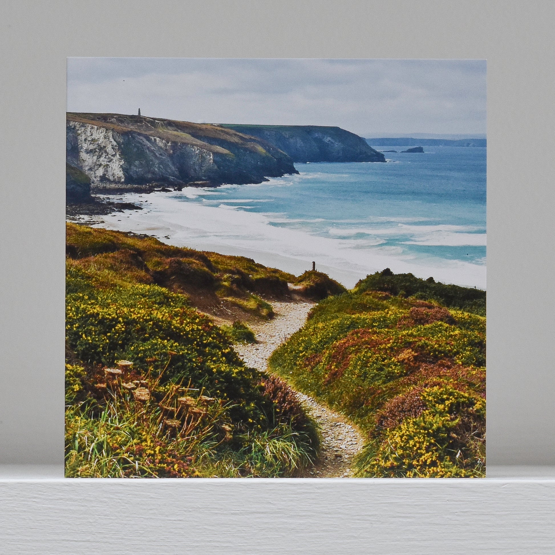 Greetings card on shelf showing image of the coast path between Chapel Porth and Porthtowan, with wildflowers in the foreground and the sea and coastline beyond