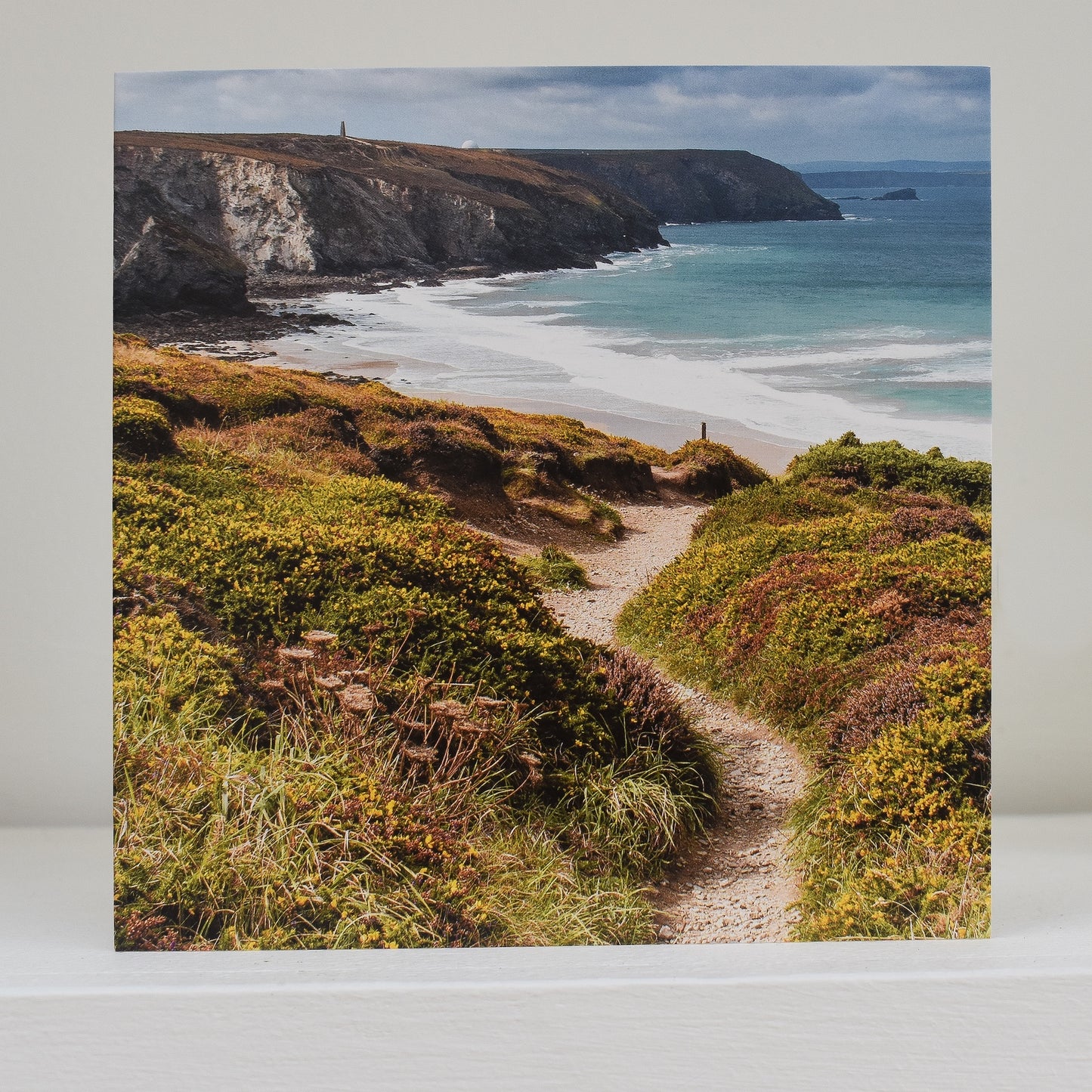 Greetings card on shelf showing image of the coast path between Chapel Porth and Porthtowan, with wildflowers in the foreground and the sea and coastline beyond