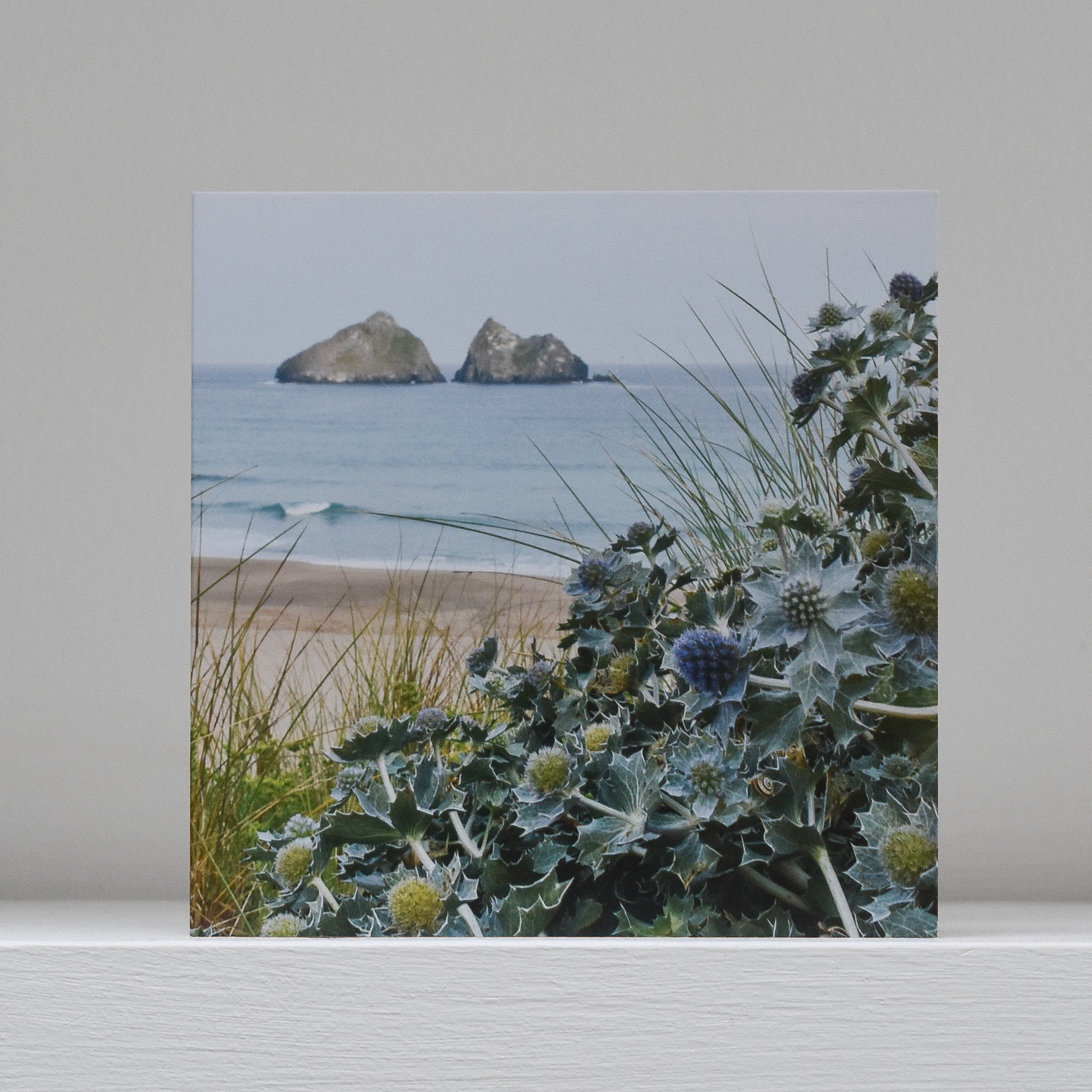 Greetings card on shelf showing image of sea holly overlooking the beach and Carter's Rocks at Holywell