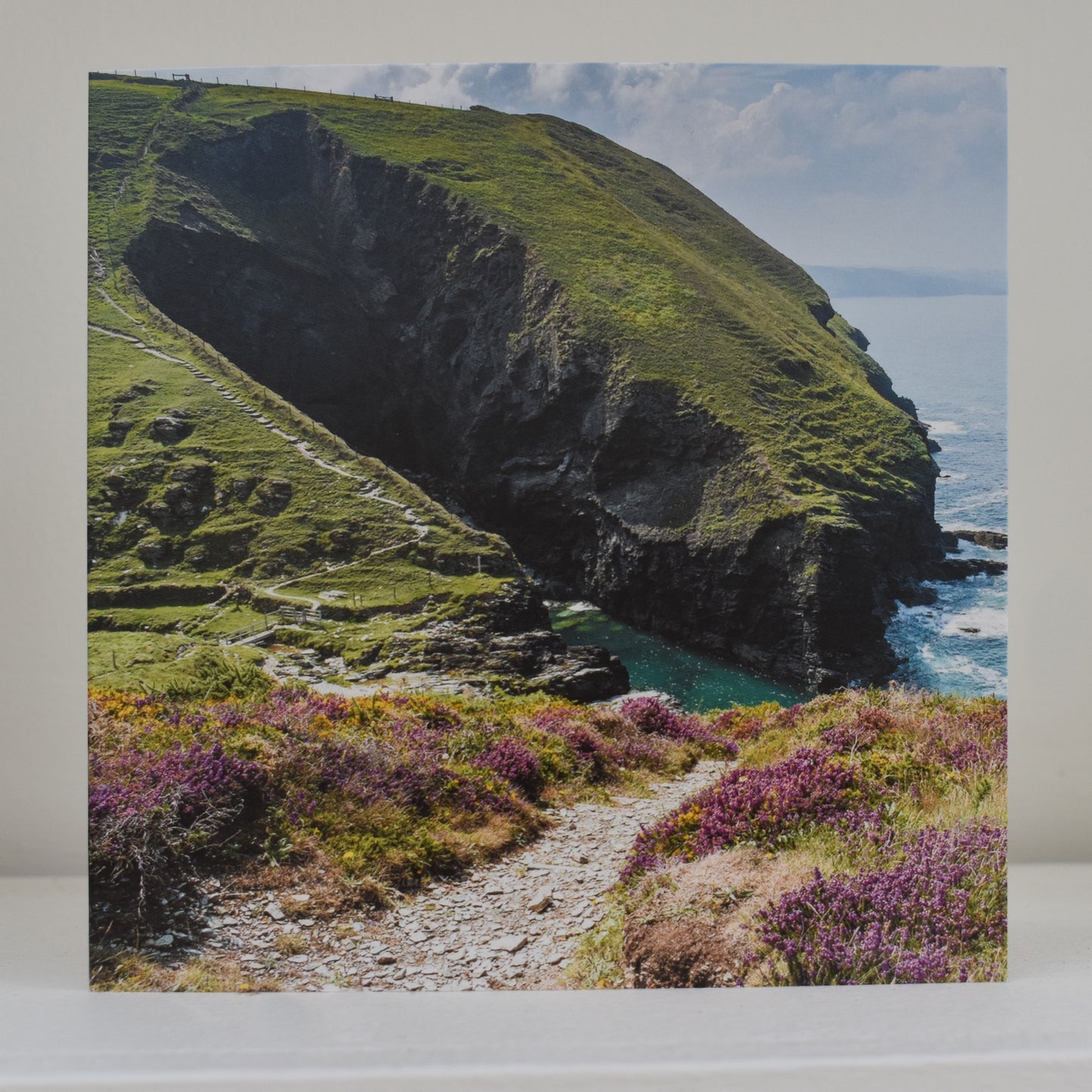Card on a shelf, showing an image of the coast path near Delabole, the cliffs clothed in wild flowers