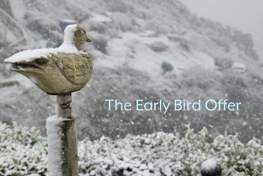 Snow-covered ornamental bird at Portloe,  with 'The Early Bird Offer' text against a snowy landscape.