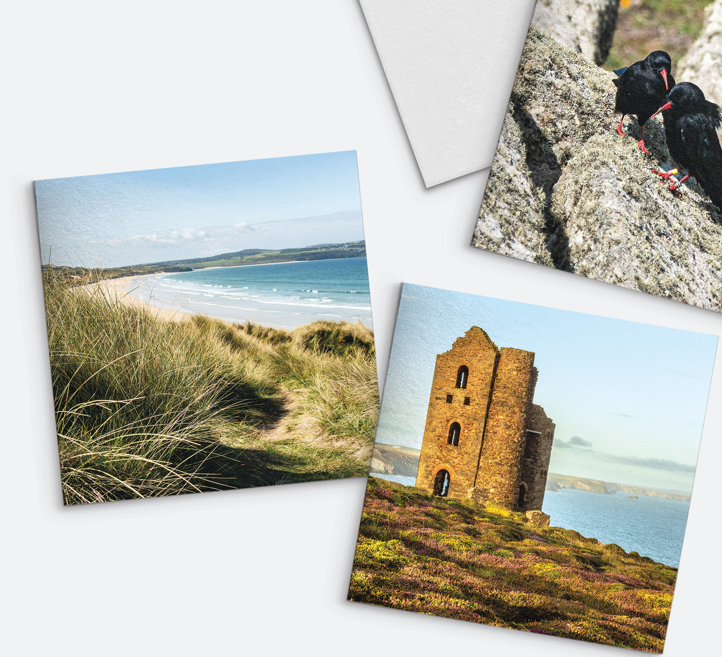 Selection of greetings cards, featuring Cornish choughs, Gwithian and Wheal Coates