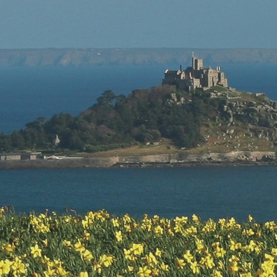 Video animation of greeting card showing fields of daffodils high above Mounts Bay and St Michaels Mount on a beautiful clear day, looking as far as The Lizard
