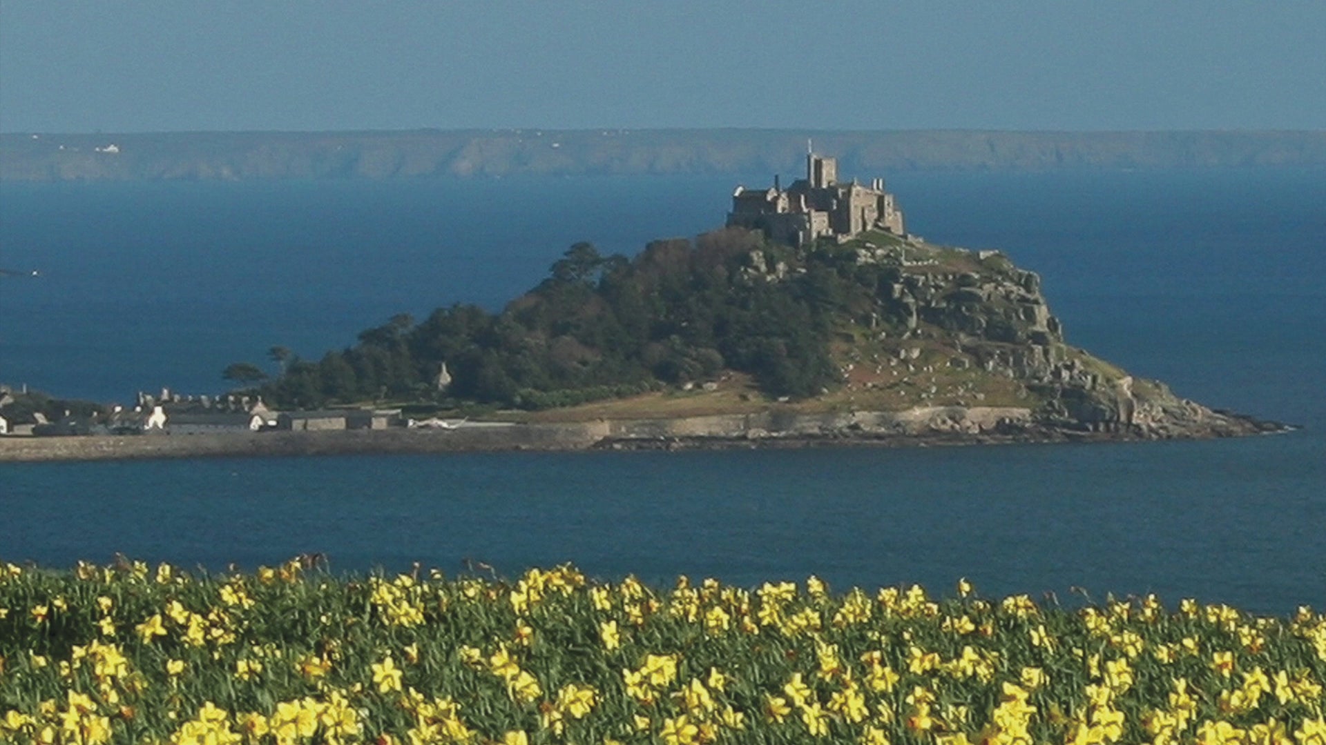 Video animation of greeting card showing fields of daffodils high above Mounts Bay and St Michaels Mount on a beautiful clear day, looking as far as The Lizard