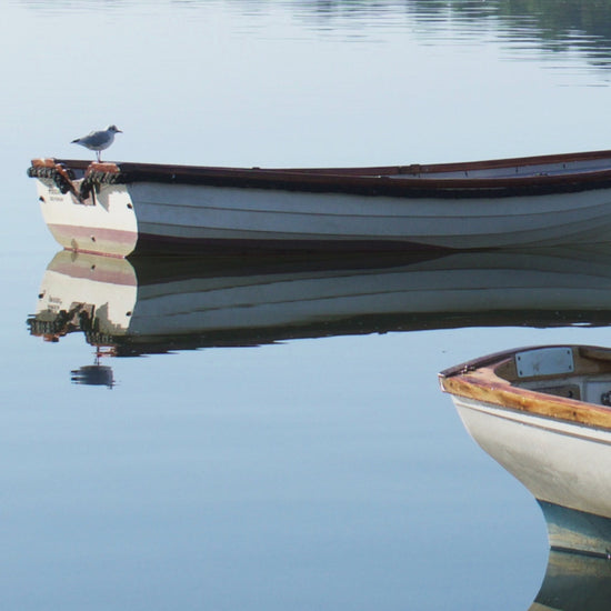 Video animation of greeting card, showing 3 rowing boats on their moorings in Restronguet Creek, the water so still their reflections are crystal clear