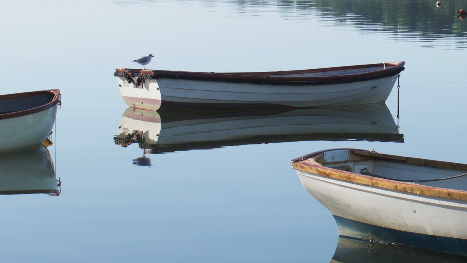 Video animation of greeting card, showing 3 rowing boats on their moorings in Restronguet Creek, the water so still their reflections are crystal clear