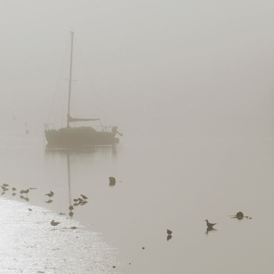 Video animation of a greetings card image showing a yacht at anchor in a quiet creek, the tide falling to reveal mud banks and wading birds, the whole image misty with sunlight reflecting bright off one curve of mud bank and leaving the trees of the far bank a barely visible shadow