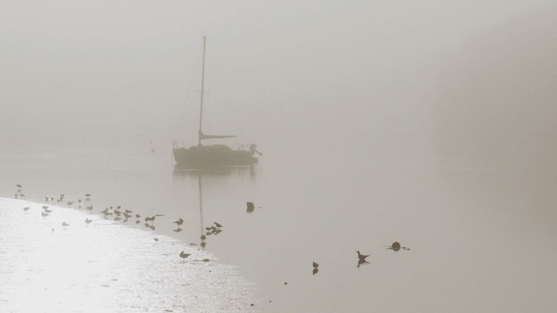 Video animation of a greetings card image showing a yacht at anchor in a quiet creek, the tide falling to reveal mud banks and wading birds, the whole image misty with sunlight reflecting bright off one curve of mud bank and leaving the trees of the far bank a barely visible shadow