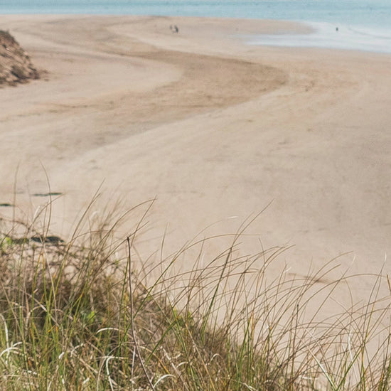 Video animation of Camel Estuary greeting  card