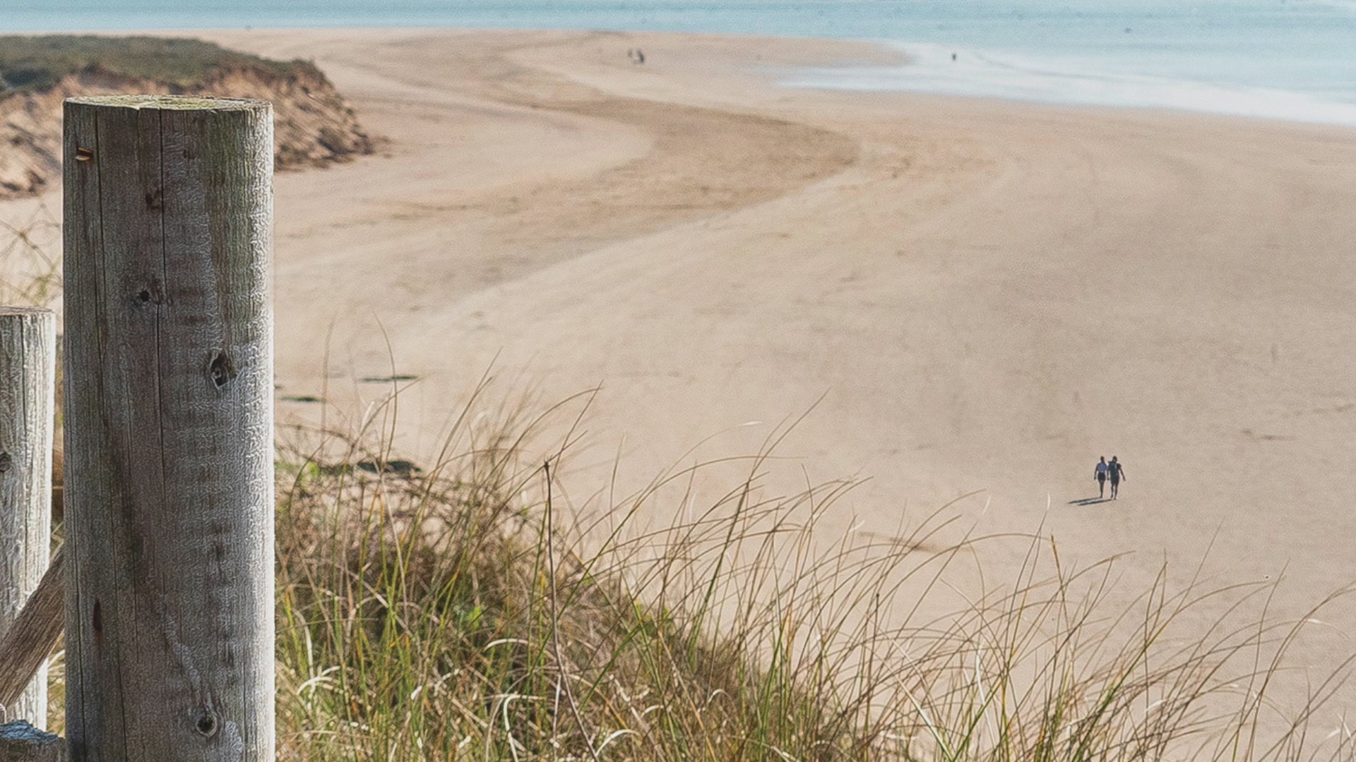 Video animation of Camel Estuary greeting  card