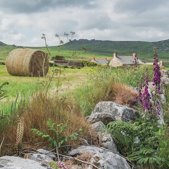 Video animation of greetings card, featuring a farmhouse on the West Penwith moors, foxgloves and bale of hay