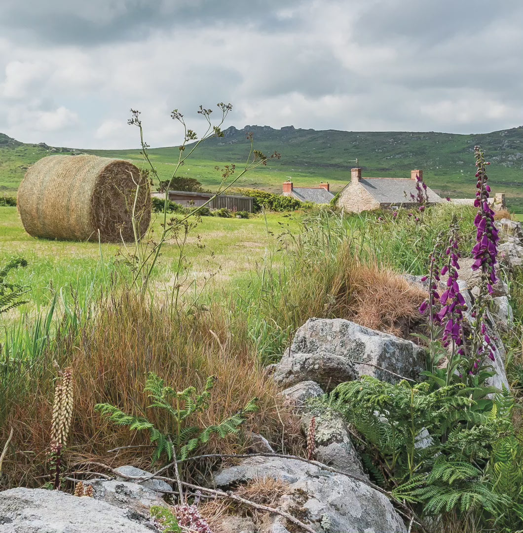 Video animation of greetings card, featuring a farmhouse on the West Penwith moors, foxgloves and bale of hay
