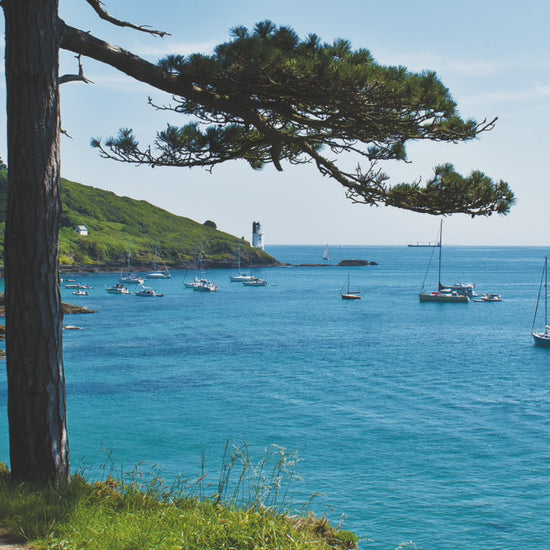 Video animation of a greeting card showing the lighthouse at St Antohony Head, with yachts at anchor in a bay of aquamarine water, with the coast path snaking between pines